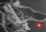 Image of Bombing Balalae Island Balalae Island, 1943, second 54 stock footage video 65675080861