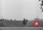 Standbild Amerikanische FSSF-Soldaten zu Fuß Italien, 1944, aus Sekunde 3 historischem Filmmaterial Videoclip 65675080868