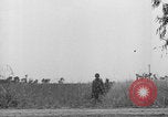 Standbild Amerikanische FSSF-Soldaten zu Fuß Italien, 1944, aus Sekunde 11 historischem Filmmaterial Videoclip 65675080868