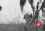 Standbild Amerikanische FSSF-Soldaten zu Fuß Italien, 1944, aus Sekunde 26 historischem Filmmaterial Videoclip 65675080868