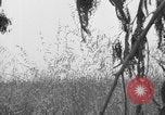 Standbild Amerikanische FSSF-Soldaten zu Fuß Italien, 1944, aus Sekunde 28 historischem Filmmaterial Videoclip 65675080868