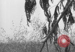 Standbild Amerikanische FSSF-Soldaten zu Fuß Italien, 1944, aus Sekunde 32 historischem Filmmaterial Videoclip 65675080868