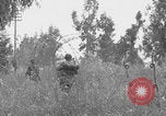 Standbild Amerikanische FSSF-Soldaten zu Fuß Italien, 1944, aus Sekunde 53 historischem Filmmaterial Videoclip 65675080868