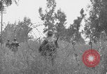 Standbild Amerikanische FSSF-Soldaten zu Fuß Italien, 1944, aus Sekunde 60 historischem Filmmaterial Videoclip 65675080868