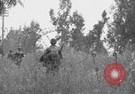 Standbild Amerikanische FSSF-Soldaten zu Fuß Italien, 1944, aus Sekunde 61 historischem Filmmaterial Videoclip 65675080868