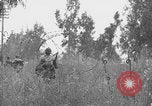 Standbild Amerikanische FSSF-Soldaten zu Fuß Italien, 1944, aus Sekunde 62 historischem Filmmaterial Videoclip 65675080868