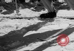 Image of US Army Parachutists skiing Alta Utah USA, 1942, second 28 stock footage video 65675080873