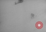Image of US Army Soldiers skiing downhill Alta Utah USA, 1942, second 14 stock footage video 65675080875