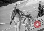 Image of US Military ski exercises Alta Utah USA, 1942, second 28 stock footage video 65675080876