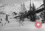 Image of US Military ski exercises Alta Utah USA, 1942, second 60 stock footage video 65675080876