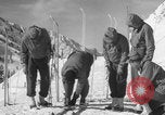 Image of US Army ski-intensive training Alta Utah USA, 1942, second 6 stock footage video 65675080879