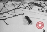 Image of US Army ski-intensive training Alta Utah USA, 1942, second 8 stock footage video 65675080879