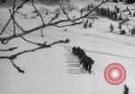 Image of US Army ski-intensive training Alta Utah USA, 1942, second 9 stock footage video 65675080879