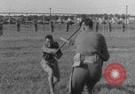 Image of bayonet training pre WW2 United States USA, 1938, second 37 stock footage video 65675080887