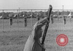 Image of bayonet training film United States USA, 1938, second 58 stock footage video 65675080888