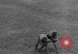 Image of combat training film United States USA, 1938, second 40 stock footage video 65675080896