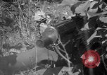 Image of bayonet training United States USA, 1938, second 53 stock footage video 65675080901