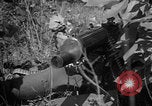 Image of bayonet training United States USA, 1938, second 56 stock footage video 65675080901
