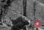 Image of FSSF soldiers walk on trail Italy, 1944, second 19 stock footage video 65675080924