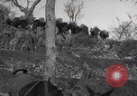 Image of FSSF soldiers walk on trail Italy, 1944, second 27 stock footage video 65675080924