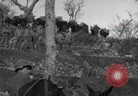 Image of FSSF soldiers walk on trail Italy, 1944, second 28 stock footage video 65675080924