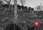 Image of FSSF soldiers walk on trail Italy, 1944, second 30 stock footage video 65675080924