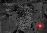 Image of FSSF soldiers walk on trail Italy, 1944, second 38 stock footage video 65675080924