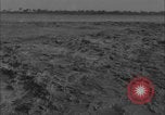 Image of Colorado River flooding Yuma Arizona USA, 1932, second 24 stock footage video 65675080929