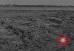 Image of Colorado River flooding Yuma Arizona USA, 1932, second 25 stock footage video 65675080929