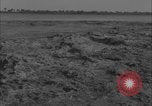 Image of Colorado River flooding Yuma Arizona USA, 1932, second 26 stock footage video 65675080929