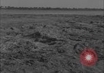 Image of Colorado River flooding Yuma Arizona USA, 1932, second 27 stock footage video 65675080929