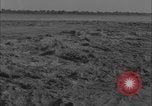Image of Colorado River flooding Yuma Arizona USA, 1932, second 28 stock footage video 65675080929