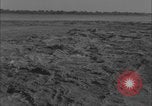 Image of Colorado River flooding Yuma Arizona USA, 1932, second 29 stock footage video 65675080929