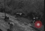 Image of Colorado River flooding Yuma Arizona USA, 1932, second 54 stock footage video 65675080929