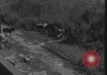 Image of Colorado River flooding Yuma Arizona USA, 1932, second 57 stock footage video 65675080929