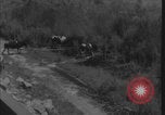 Image of Colorado River flooding Yuma Arizona USA, 1932, second 58 stock footage video 65675080929
