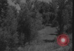 Image of Colorado River flooding Yuma Arizona USA, 1932, second 59 stock footage video 65675080929