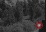 Image of Colorado River flooding Yuma Arizona USA, 1932, second 60 stock footage video 65675080929