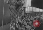 Image of US troops land on Normandy coast Normandy France, 1944, second 18 stock footage video 65675080937