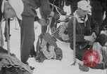 Image of US Army ski troops on Mount Rainer Washington State United States USA, 1941, second 20 stock footage video 65675080940