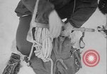 Image of US Army ski troops on Mount Rainer Washington State United States USA, 1941, second 36 stock footage video 65675080940