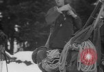 Image of US Army ski troops on Mount Rainer Washington State United States USA, 1941, second 59 stock footage video 65675080940