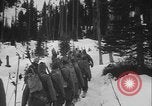 Image of US Army ski troops cross difficult terrain Washington State United States USA, 1941, second 5 stock footage video 65675080941