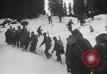 Image of US Army ski troops cross difficult terrain Washington State United States USA, 1941, second 8 stock footage video 65675080941