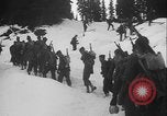 Image of US Army ski troops cross difficult terrain Washington State United States USA, 1941, second 11 stock footage video 65675080941