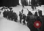 Image of US Army ski troops cross difficult terrain Washington State United States USA, 1941, second 13 stock footage video 65675080941