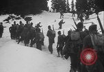 Image of US Army ski troops cross difficult terrain Washington State United States USA, 1941, second 15 stock footage video 65675080941