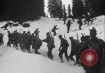 Image of US Army ski troops cross difficult terrain Washington State United States USA, 1941, second 21 stock footage video 65675080941