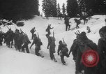 Image of US Army ski troops cross difficult terrain Washington State United States USA, 1941, second 24 stock footage video 65675080941