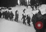 Image of US Army ski troops cross difficult terrain Washington State United States USA, 1941, second 26 stock footage video 65675080941